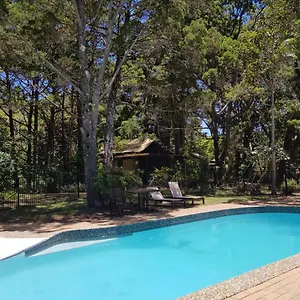 Rainforest *** Byron Bay